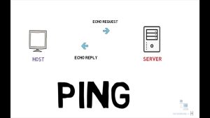 Network Ping